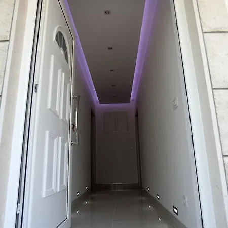 Taratta 1 * トロギール