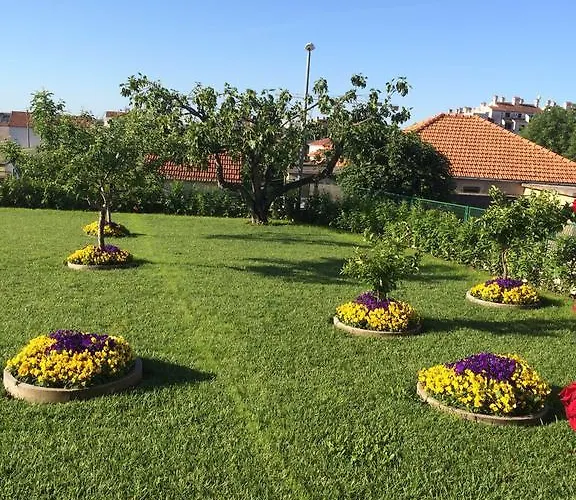 Taratta 1 Τρογκίρ